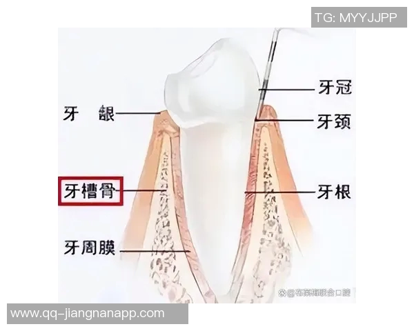奇克遭遇牙槽骨骨折多颗牙齿脱落或将影响近期进食与讲话能力